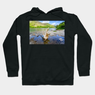 Buttermere Panorama With Driftwood Hoodie